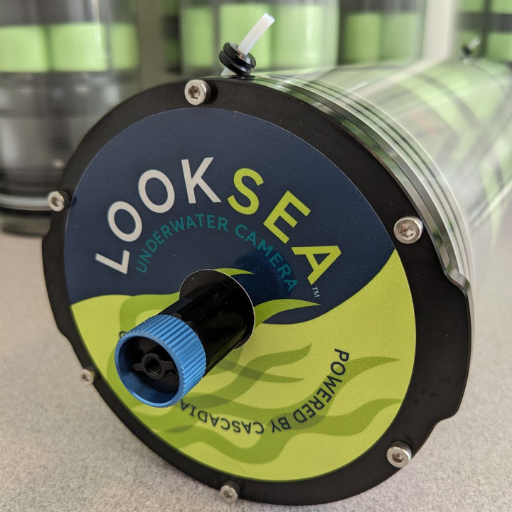 LookSea